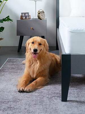 best mattress protector